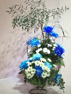 完美国际寻宝,完美世界寻宝网,完美世界寻宝网手游深度攻略,探秘寻宝之旅