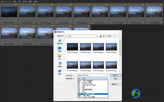 acdsee 10,acdsee10绿色版,ACDSee 10绿色版,图片管理与编辑的得力助