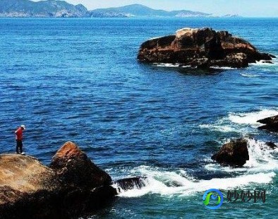小鱼吃吃吃游戏,小鱼吃吃吃游戏,小鱼吃吃吃手游攻略,成为海洋霸主的秘诀