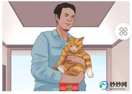 淘宝猫猫怎么退队,淘宝猫猫怎么退队,淘宝猫猫退队攻略,详细步骤与注意事项