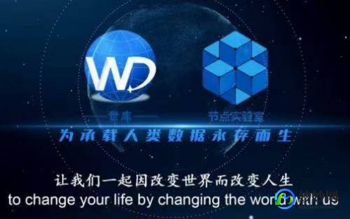 WIZARDING WORLD分院测试,Wizarding World分院测试游戏攻略,探索魔法世界,选择你的