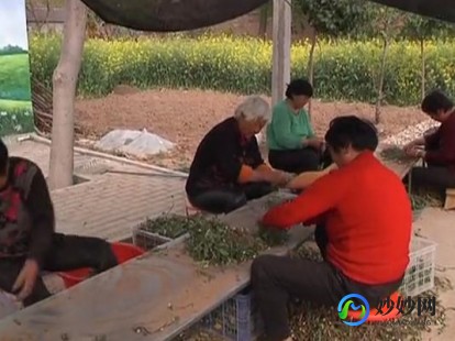 淘宝成就在哪看,淘宝成就系统详解,如何查看与提升你的淘宝成就