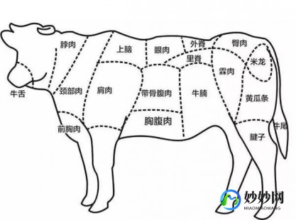 吃火锅时的牛上脑是牛的什么部位,吃火锅时的牛上脑是牛的什么部位,火锅必备,牛上脑,美味与