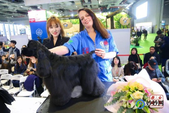 lol cg,英雄联盟cg,英雄联盟CG揭秘,视觉盛宴引领玩家探索游戏世界