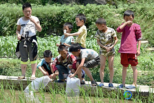 农场进不去怎么办,qq农场无法打开,QQ农场无法打开？解决方案与手游玩法全攻略