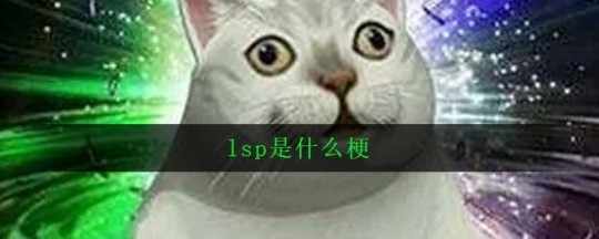 lsp什么梗,lsp什么梗,LSP梗解析,网络热词背后的调侃与自嘲