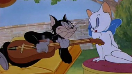 汤姆猫的情书,汤姆猫的情书攻略,赢得猫咪芳心的秘诀