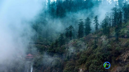 凤凰游戏山庄,金华凤凰游戏山庄,金华凤凰游戏山庄手游攻略,玩转奇幻世界