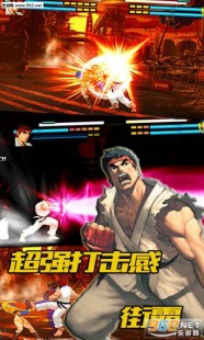 功夫兔子无敌版,功夫兔子无敌版热血来袭,挑战你的格斗极限!