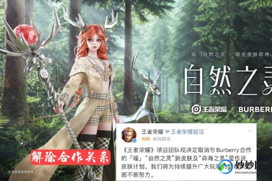 王者荣耀巴宝莉辱华,巴宝莉辱华事件后,手游玩家应如何理性应对与发声