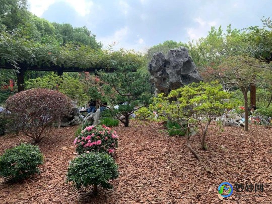 梦幻西游pt加点,梦幻西游手游普陀加点攻略,打造最强辅助角色