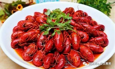 小龙虾的心脏,小龙虾心脏长在什么位置,揭秘小龙虾的心脏之谜,它究竟藏身