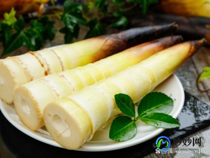 竹笋是春季特色美食,竹笋是春季特色美食蚂蚁庄园,春季特色美食,竹笋盛宴,蚂蚁