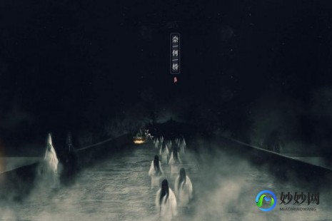 哪种动物瞳孔是长方形,揭秘奇特瞳孔之谜,何种动物拥有长方形瞳孔？