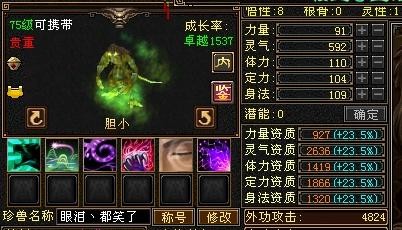 天龙八部宝宝,天龙八部变异宝宝全解析,打造你的专属神兽!