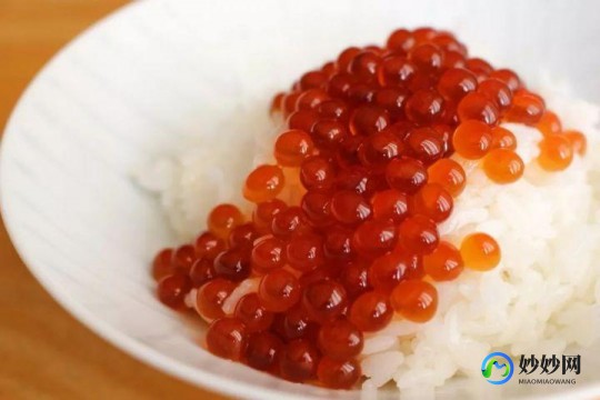 鲑鱼子,鲑鱼子的个人主页