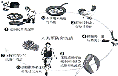 最新禽流感新闻,禽流感h7n9最新消息,禽流感H7N9最新消息,全球防控进展与应...