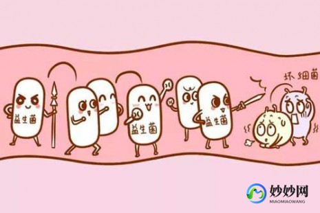 托乳糖奶粉的真实效果揭秘 家长们必看的选择指南