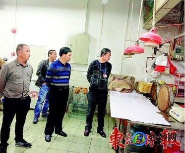 禽流感最新消息,禽流感h7n9最新消息,禽流感H7N9最新消息,全球防控进展与应...