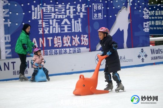冬奥会花样滑冰的冰场蚂蚁庄园,冬奥会花样滑冰的冰场蚂蚁庄园,冬奥会花样滑冰的冰场蚂蚁