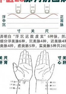 幽脉,幽脉是什么脉