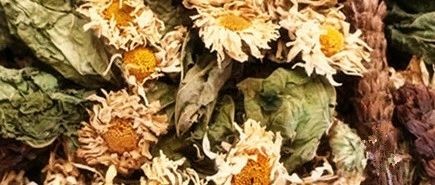夏桑菊的功效与作用,夏桑菊的功效与作用你知道吗？