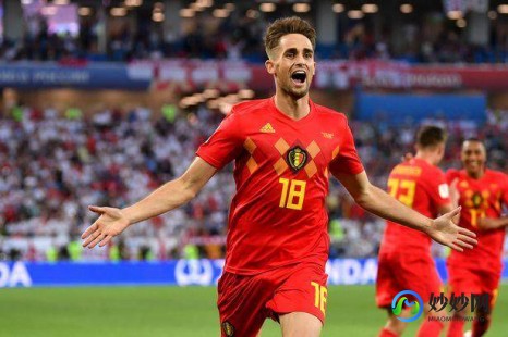 贾努扎伊,阿德南·贾努扎伊(Adnan Januzaj)荣誉榜