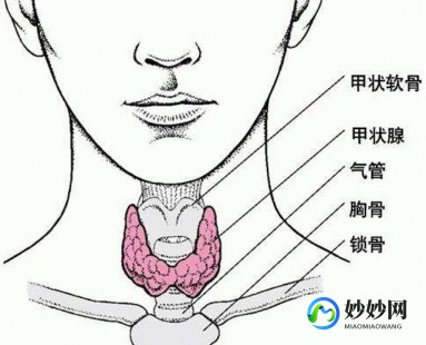 甲状腺术后并发症,甲状腺术后并发症