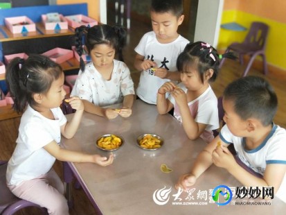 杏子的营养价值和功效与作用,杏的功效与作用及营养价值