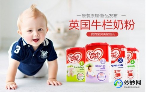 致臻婴儿配方奶粉评测：品质与口碑的全面分析