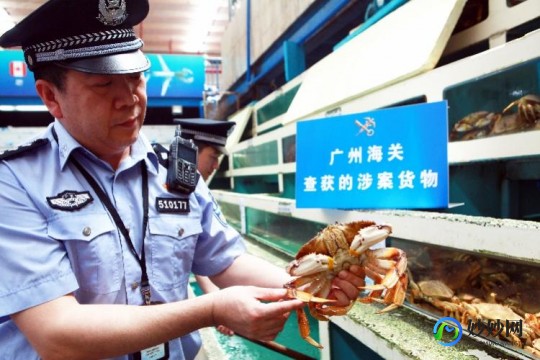 跨境销售奶粉市场分析：品质与安全如何保障消费者信心