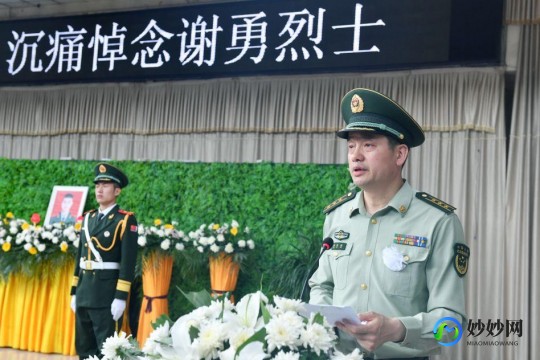 谢勇,谢勇详细介绍