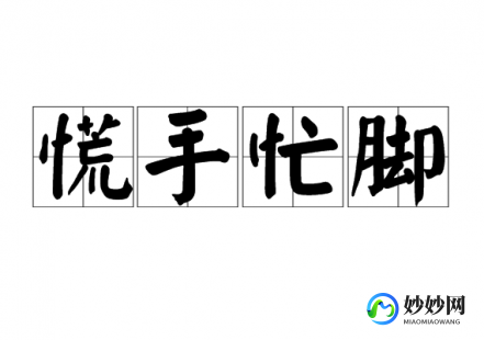 手忙脚乱的动物,揭秘,手忙脚乱生肖揭秘,究竟是谁在慌乱中表现