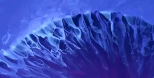 人鱼之泪脚饰,人鱼之泪脚饰,人鱼之泪脚饰,闪耀深海的神秘宝鱼之泪的传说