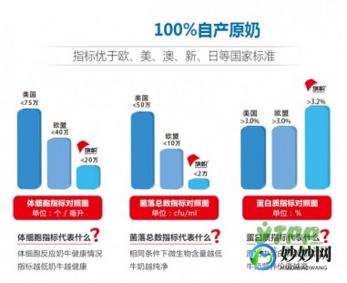 红旗帜孕妇奶粉评测：营养成分与口碑全面解析