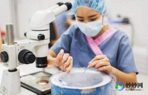 试管移植冻囊胚失败背后的原因与应对策略解析