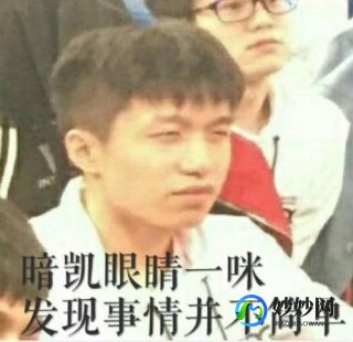 刷票神器,手机自动投票神器,一键下载,轻松实现高效投票操作