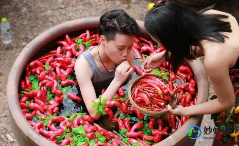 益升高成长奶粉评测：营养成分与口感全面解析