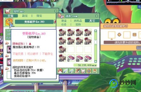 彩虹岛灵宠怎么升级,彩虹岛灵宠怎么升级,彩虹岛灵宠升级攻略,打造你的强大战斗