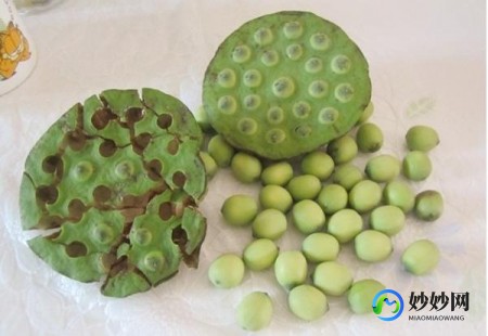 莲蓬怎么吃,莲蓬怎么吃,可以生吃吗