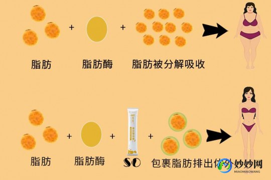 脂肪副作用,脂肪副作用有哪些