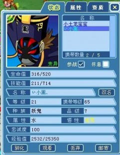 大话水浒浪子加点,大话水浒浪子加点攻略,打造最强浪子角色、大话水浒浪子归来