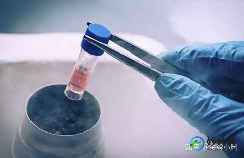 俄罗斯试管婴儿中心,2025俄罗斯能供-卵三代试管的医院排名？附医院介绍？