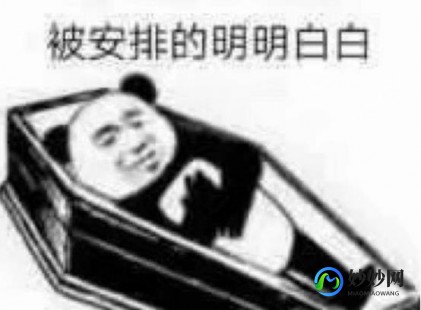 2022男生女生向前冲报名,2022年男生女生向前冲报名,2022年男生女生向前冲火热报名中!