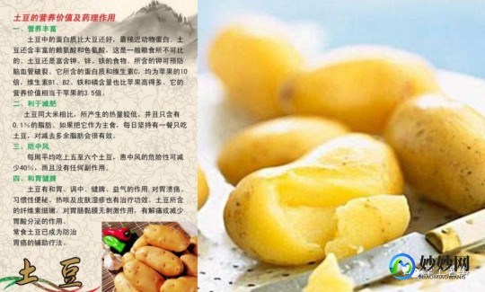 土豆的作用及功效作用,土豆的功效与作用