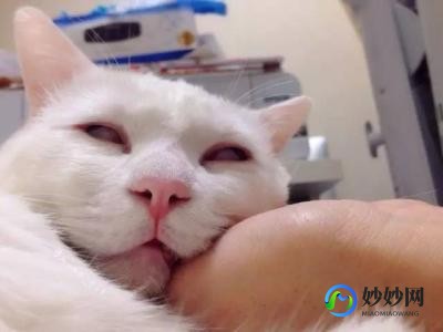 【转载】“咆哮小猫”搅动市场 这次焦点是Unity Software