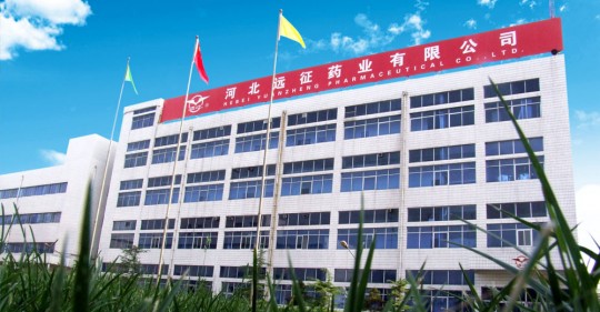 石家庄制药,石家庄制药集团有限公司河药分厂地址电话_石家庄制药集团...