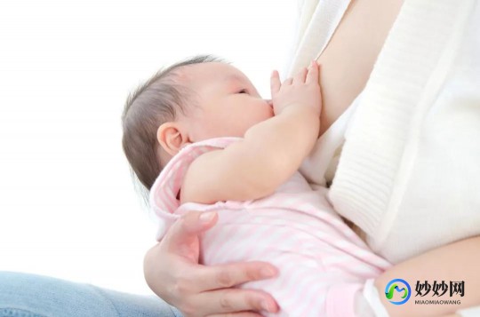 冰箱推荐母乳与奶粉的最佳选择解析，助力新手妈妈科学喂养