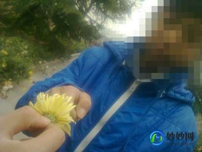 菊花男,菊花-男男暧昧代表之花