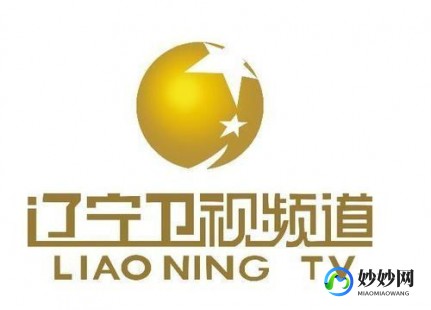辽宁卫视现场直播,轻松获取辽宁卫视当天节目回放,手机操作指南大揭秘!